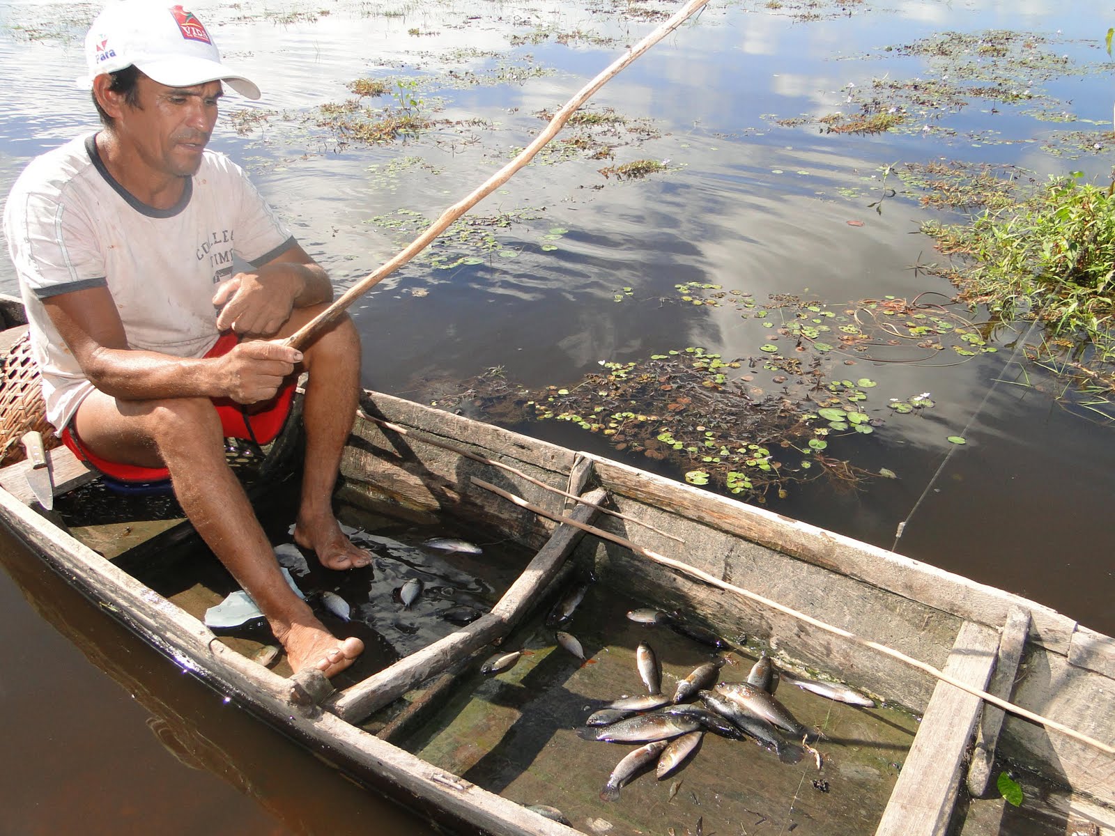 Município de Rio Preto da Eva, no Amazonas, age contra a pesca predatória