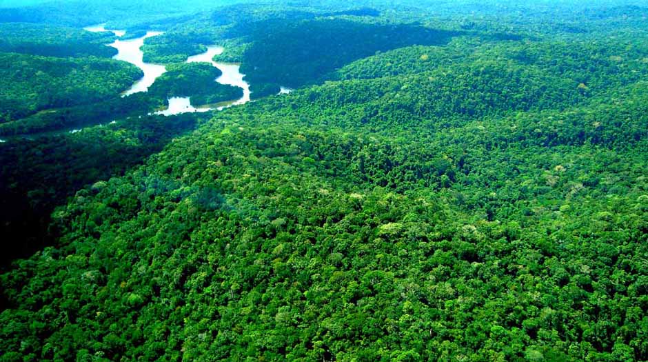 Justiça do DF suspende atos que extinguem reserva de mineração na Amazônia