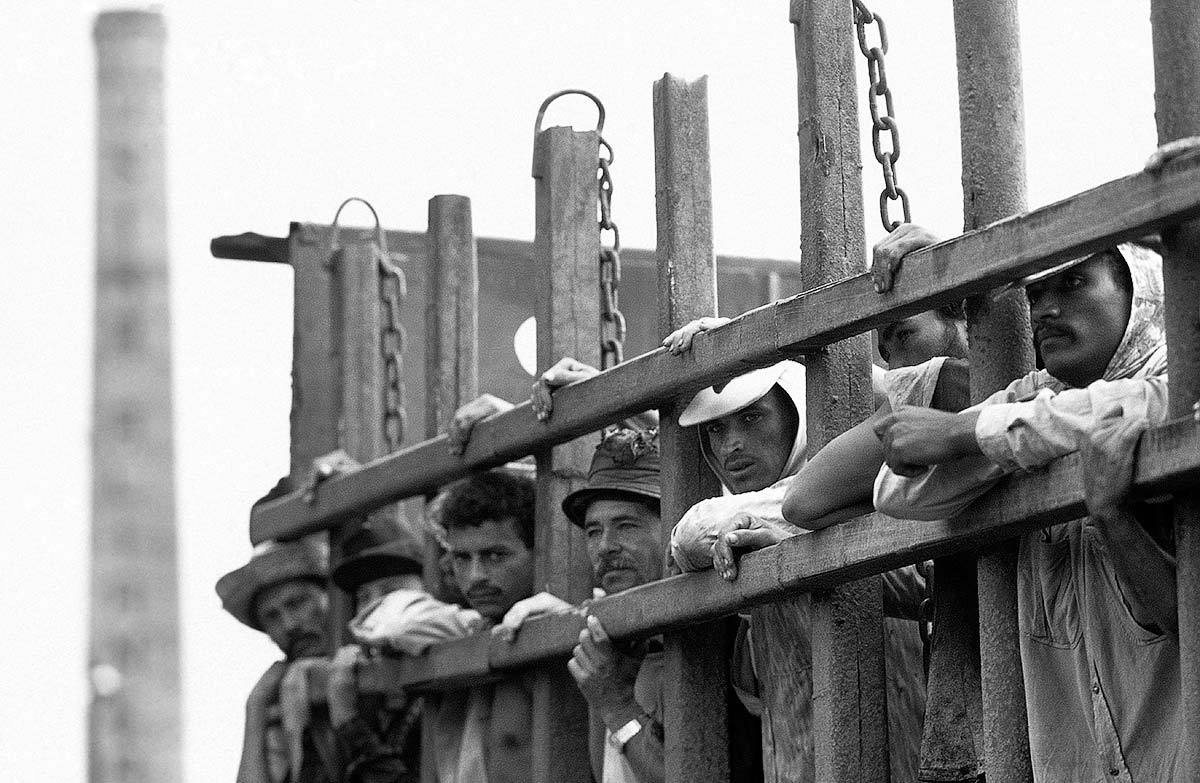 ONU pede ao Brasil ação urgente contra o trabalho escravo