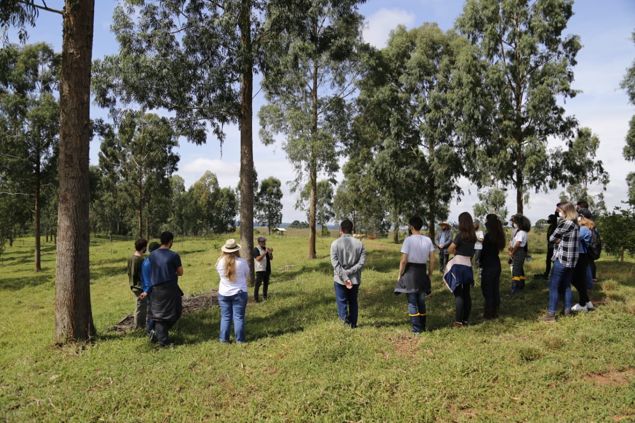 Sindivet realiza imersão em conservação da natureza com alunos da UFPR