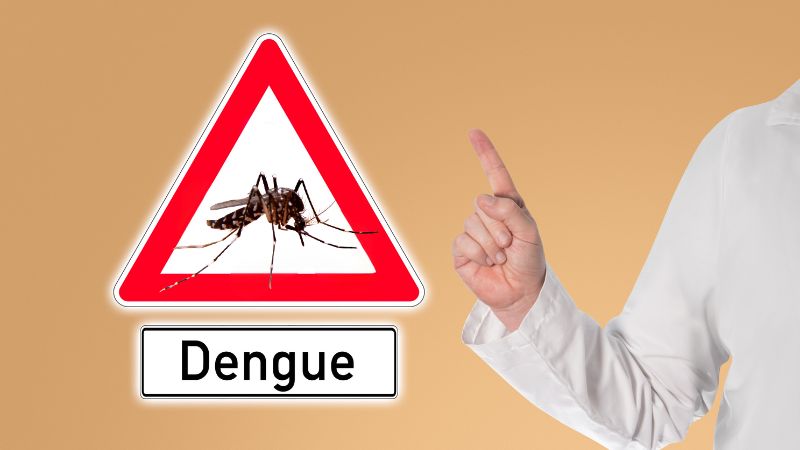 Dengue: saiba os sintomas, como prevenir e aprenda a reconhecer o mosquito transmissor