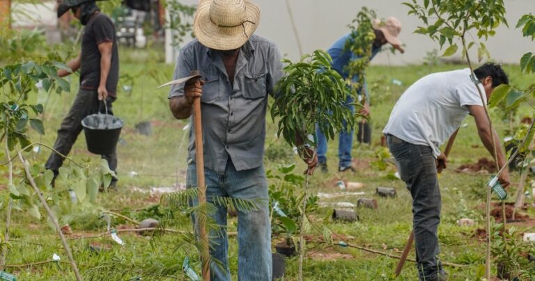 trabalho-no-campo-ainda-enfrenta-precarizacao-laboral