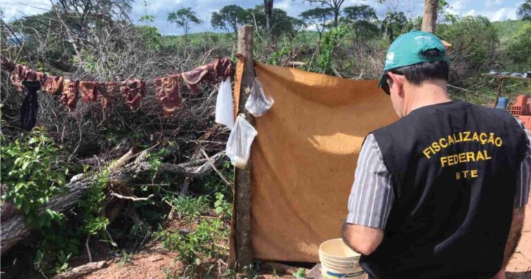 trabalhadores-condicoes-analogas-dividiam-comida-animais